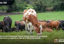 Ecuador | Gobierno del Presidente Daniel Noboa impulsa la ganadería regenerativa y capacita a más de 2.400 productores Ecuador | Gobierno del Presidente Daniel Noboa impulsa la ganadería regenerativa y capacita a más de 2.400 productores