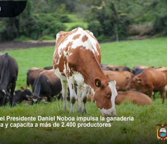 Ecuador | Gobierno del Presidente Daniel Noboa impulsa la ganadería regenerativa y capacita a más de 2.400 productores