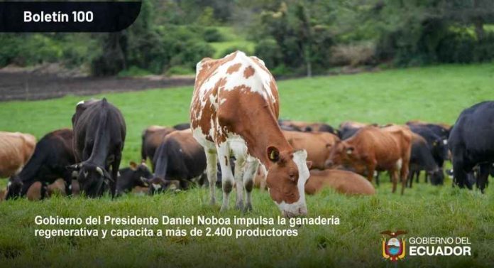 Ecuador Gobierno del Presidente Daniel Noboa impulsa la ganadería regenerativa y capacita a más de 2.400 productores Ecuador | Gobierno del Presidente Daniel Noboa impulsa la ganadería regenerativa y capacita a más de 2.400 productores