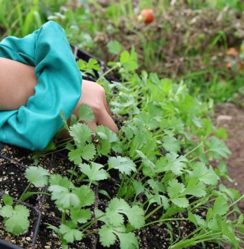 El ingeniero agrónomo frente al cambio climático: un profesional clave para adaptar la producción