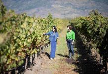 El nuevo rostro del vino chileno: mujeres que transforman una industria y su forma de vivirla El nuevo rostro del vino chileno: mujeres que transforman una industria y su forma de vivirla