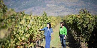 El nuevo rostro del vino chileno: mujeres que transforman una industria y su forma de vivirla El nuevo rostro del vino chileno: mujeres que transforman una industria y su forma de vivirla