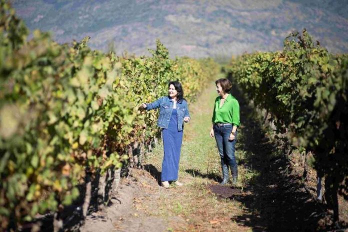 El nuevo rostro del vino chileno mujeres que transforman una industria y su forma de vivirla El nuevo rostro del vino chileno: mujeres que transforman una industria y su forma de vivirla