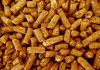 Reportaje | El pellet se produce todo el año, pero falta en invierno: la paradoja detrás de la escasez El pellet se produce todo el año, pero falta en invierno
