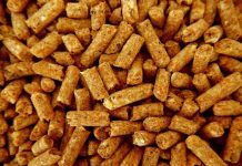 Reportaje | El pellet se produce todo el año, pero falta en invierno: la paradoja detrás de la escasez El pellet se produce todo el año, pero falta en invierno