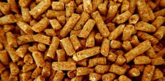 Reportaje | El pellet se produce todo el año, pero falta en invierno: la paradoja detrás de la escasez El pellet se produce todo el año, pero falta en invierno