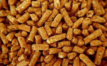 Reportaje | El pellet se produce todo el año, pero falta en invierno: la paradoja detrás de la escasez El pellet se produce todo el año, pero falta en invierno