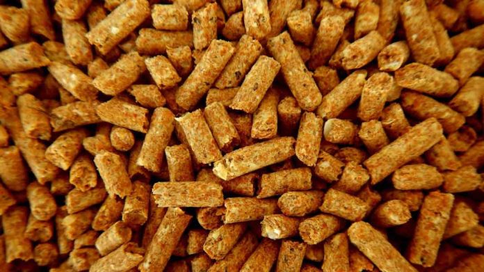 El pellet se produce todo el año, pero falta en invierno El pellet se produce todo el año, pero falta en invierno