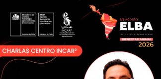Centro INCAR² tendrá participación clave en Encuentro Latinoamericano sobre Bienestar Animal, ELBA 2026 Centro INCAR² tendrá participación clave en Encuentro Latinoamericano sobre Bienestar Animal, ELBA 2026