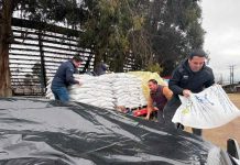 Entregan ayudas tempranas a agricultores afectados por sistemas frontales en Punilla Entregan ayudas tempranas a agricultores afectados por sistemas frontales en Punilla