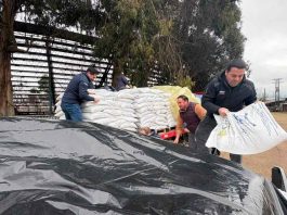 Entregan ayudas tempranas a agricultores afectados por sistemas frontales en Punilla Entregan ayudas tempranas a agricultores afectados por sistemas frontales en Punilla