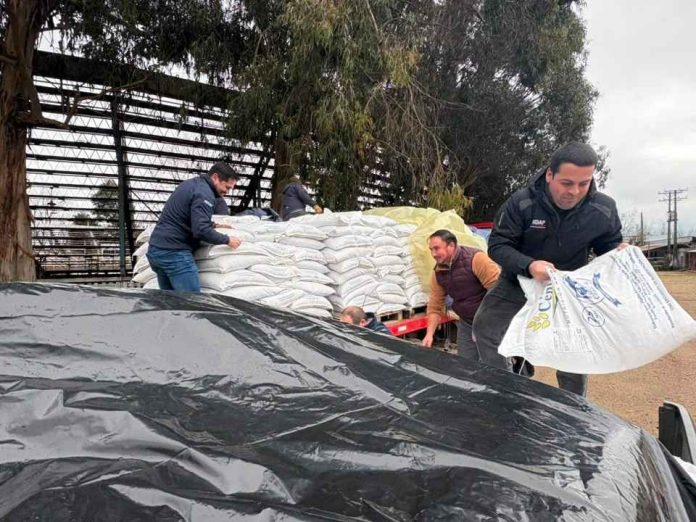 Entregan ayudas tempranas a agricultores afectados por sistemas frontales en Punilla Entregan ayudas tempranas a agricultores afectados por sistemas frontales en Punilla