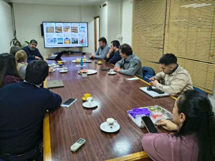 Especialistas buscan mejorar productividad del avellano