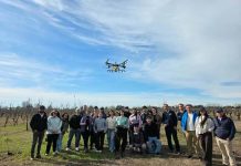 Estudiantes de Agronomía UdeC comprueban en terreno el potencial agrícola de los drones 