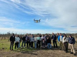 Estudiantes de Agronomía UdeC comprueban en terreno el potencial agrícola de los drones Estudiantes de Agronomía UdeC comprueban en terreno el potencial agrícola de los drones