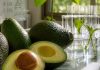 Estudio: Descubren el gen que regula la floración de la palta: un avance clave para optimizar su producción Estudio: Descubren el gen que regula la floración de la palta: un avance clave para optimizar su producción