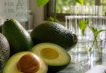 Estudio: Descubren el gen que regula la floración de la palta: un avance clave para optimizar su producción Estudio: Descubren el gen que regula la floración de la palta: un avance clave para optimizar su producción