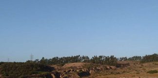 Estudio revela que la contaminación por metales ralentiza hasta tres veces la actividad microbiana y funciones del suelo