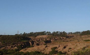 Reportaje | Estudio revela que la contaminación por metales ralentiza hasta tres veces la actividad microbiana y funciones del suelo Estudio revela que la contaminación por metales ralentiza hasta tres veces la actividad microbiana y funciones del suelo