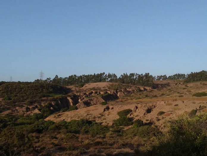 Estudio revela que la contaminación por metales ralentiza hasta tres veces la actividad microbiana y funciones del suelo Estudio revela que la contaminación por metales ralentiza hasta tres veces la actividad microbiana y funciones del suelo