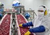 Europea gana terreno en las exportaciones agroindustriales chilenas y EE.UU. pierde participación