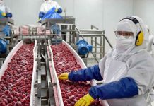 Europea gana terreno en las exportaciones agroindustriales chilenas y EE.UU. pierde participación