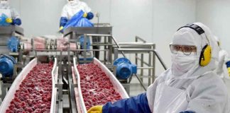 Europea gana terreno en las exportaciones agroindustriales chilenas y EE.UU. pierde participación