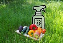 Experta UCM advierte que los residuos de plaguicidas en alimentos requieren más ciencia, vigilancia y transparencia Experta UCM advierte que los residuos de plaguicidas en alimentos requieren más ciencia, vigilancia y transparencia