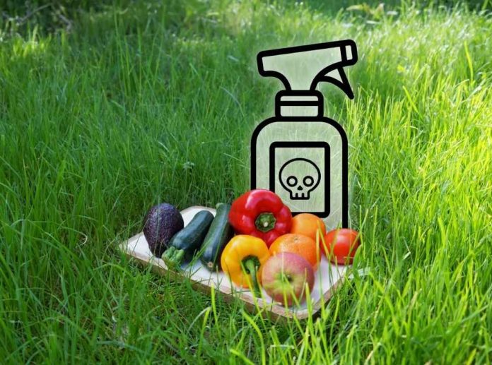 Experta UCM advierte que los residuos de plaguicidas en alimentos requieren más ciencia, vigilancia y transparencia Experta UCM advierte que los residuos de plaguicidas en alimentos requieren más ciencia, vigilancia y transparencia