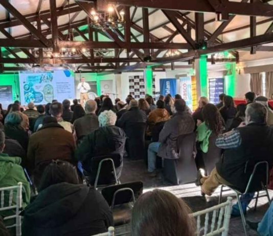 Exportaciones ovinas de Magallanes crecen 52% durante primeros 7 meses de 2026