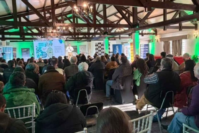 Exportaciones ovinas de Magallanes crecen 52% durante primeros 7 meses de 2026 Exportaciones ovinas de Magallanes crecen 52% durante primeros 7 meses de 2026