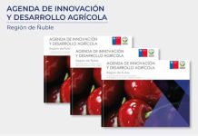 FIA presenta Agenda de Innovación Agraria para Ñuble y entrega hoja de ruta para orientar decisiones regionales FIA presenta Agenda de Innovación Agraria para Ñuble y entrega hoja de ruta para orientar decisiones regionales