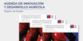 FIA presenta Agenda de Innovación Agraria para Ñuble y entrega hoja de ruta para orientar decisiones regionales FIA presenta Agenda de Innovación Agraria para Ñuble y entrega hoja de ruta para orientar decisiones regionales