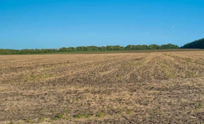 Fenómeno de El Niño Godzilla exige al agro revisar sus seguros y activar sus planes de contingencia frente a eventos climáticos cada vez más extremos Fenómeno de El Niño Godzilla exige al agro revisar sus seguros y activar sus planes de contingencia frente a eventos climáticos cada vez más extremos
