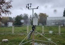 Fenómeno de “El Niño” eleva riesgo de lluvias intensas durante la floración de especies frutales Fenómeno de “El Niño” eleva riesgo de lluvias intensas durante la floración de especies frutales