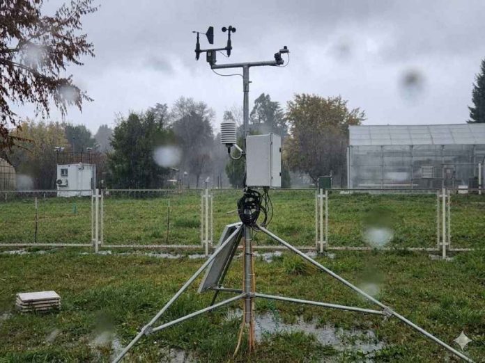 Fenómeno de “El Niño” eleva riesgo de lluvias intensas durante la floración de especies frutales Fenómeno de “El Niño” eleva riesgo de lluvias intensas durante la floración de especies frutales