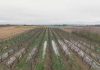 Reportaje | Física y biología del suelo post-lluvias: Los desafíos de la reestructuración agronómica desde Atacama hasta Los Lagos