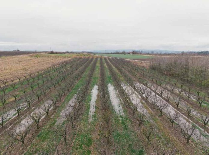 Reportaje | Física y biología del suelo post-lluvias: Los desafíos de la reestructuración agronómica desde Atacama hasta Los Lagos Reportaje | Física y biología del suelo post-lluvias: Los desafíos de la reestructuración agronómica desde Atacama hasta Los Lagos