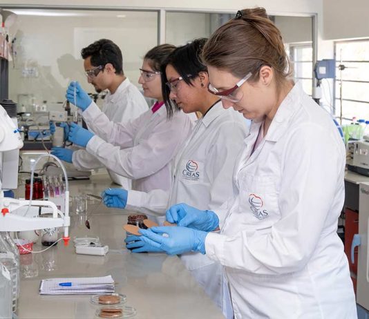 Valdivia será sede del Seminario “Food Innova Los Ríos”: Presentarán oportunidades tecnológicas para la transformación de la industria alimentaria Valdivia será sede del Seminario “Food Innova Los Ríos”: Presentarán oportunidades tecnológicas para la transformación de la industria alimentaria