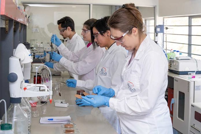 Food Innova Los Ríos Valdivia será sede del Seminario “Food Innova Los Ríos”: Presentarán oportunidades tecnológicas para la transformación de la industria alimentaria