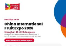 Frutas de Chile invita a sus empresas socias a participar en la China International Fruit Expo 2026 de Shanghái Frutas de Chile invita a sus empresas socias a participar en la China International Fruit Expo 2026 de Shanghái