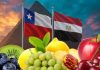 Frutas de Chile participará en el “Día de la gastronomía chilena en Egipto” para potenciar las exportaciones en los mercados del norte de África