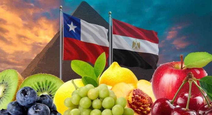 Frutas de Chile participará en el “Día de la gastronomía chilena en Egipto” para potenciar las exportaciones en los mercados del norte de África Frutas de Chile participará en el “Día de la gastronomía chilena en Egipto” para potenciar las exportaciones en los mercados del norte de África