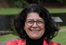 Columna de opinión | Glaciares: del diagnóstico a la acción en La Araucanía Columna de opinión | Glaciares: del diagnóstico a la acción en La Araucanía