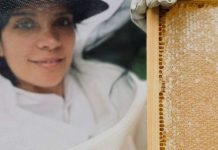 Histórico hito exportador: miel de Rapa Nui arriba por primera vez al mercado japonés con apoyo de ProChile Histórico hito exportador miel de Rapa Nui arriba por primera vez al mercado japonés con apoyo de ProChile