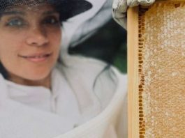Histórico hito exportador: miel de Rapa Nui arriba por primera vez al mercado japonés con apoyo de ProChile Histórico hito exportador miel de Rapa Nui arriba por primera vez al mercado japonés con apoyo de ProChile