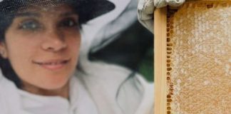 Histórico hito exportador miel de Rapa Nui arriba por primera vez al mercado japonés con apoyo de ProChile