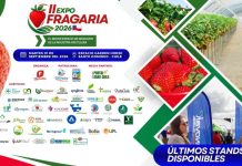 II Expo Fragaria 2026 reunirá en Santo Domingo a la industria frutillera en una jornada de conocimiento, innovación y negocios II Expo Fragaria 2026 reunirá en Santo Domingo a la industria frutillera en una jornada de conocimiento, innovación y negocios