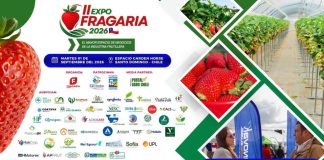 II Expo Fragaria 2026 reunirá en Santo Domingo a la industria frutillera en una jornada de conocimiento, innovación y negocios
