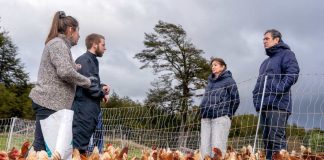 Apoyo integral a agricultores según su trayectoria y territorio anunció INDAP en su Cuenta Pública INDAP Ñuble catastrará más de 1200 agricultores afectados para focalizar apoyos tras declaración de emergencia agrícola (1)